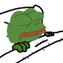 gn