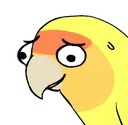 lemonbirbworry