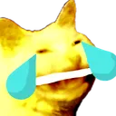 joymons