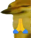 dorime