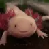 gettingsleepyrnatm