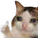 katagrees