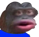 stinkypeepo stinkypeepo