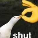 shut