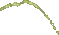pee