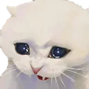 1Sat_catcry