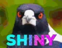 shiny