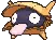 ShinyShell