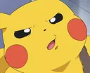 PikaWhat PikaWhat
