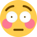 terriflushed