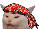 ConfuddledCatThatIsABlood