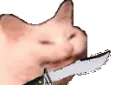cattostabbing