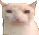 neruwat
