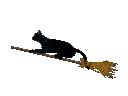 kitty_broomstick Discord Emoji