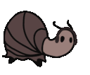 snailjam