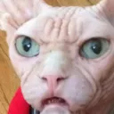 Catastrophe_wtf