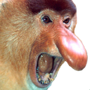 679139373945716746.png