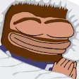 lepSLEEP