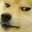 dodgestare