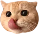 kittyLICK
