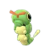 caterpie