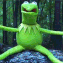 z_kermit_fail Discord emoji