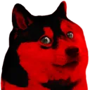 dogestreet dogestreet