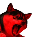 dogestreet2