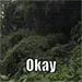 2991_okay