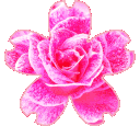 flowerpink