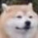postthisdog Discord emoji