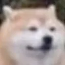 postthisdog postthisdog