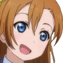 HonkWonder
