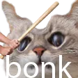 bonkest