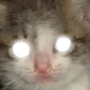 cryinggod