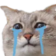 cryingest