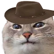 catboyest