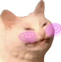 blushcat blushcat