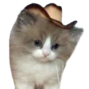 MeowdyPartnya Discord Emoji