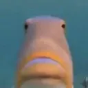 hubert