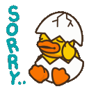 Sorry