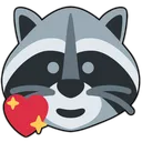 HeartRaccoon