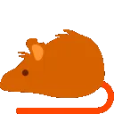 dynamitebouncerat dynamitebouncerat