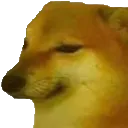 WhatDog