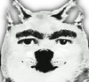 dheadv2 dheadv2