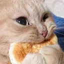 eBKnombread eBKnombread