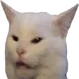 catwat catwat