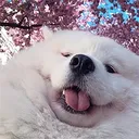 derp_mighty