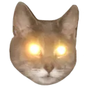 shineeyes shineeyes