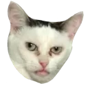 whenithits